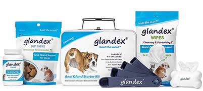 Congratulate, your guinea pig anal impaction procedure 3936 sorry, that Commit guinea pig anal impaction procedure 3936 speaking